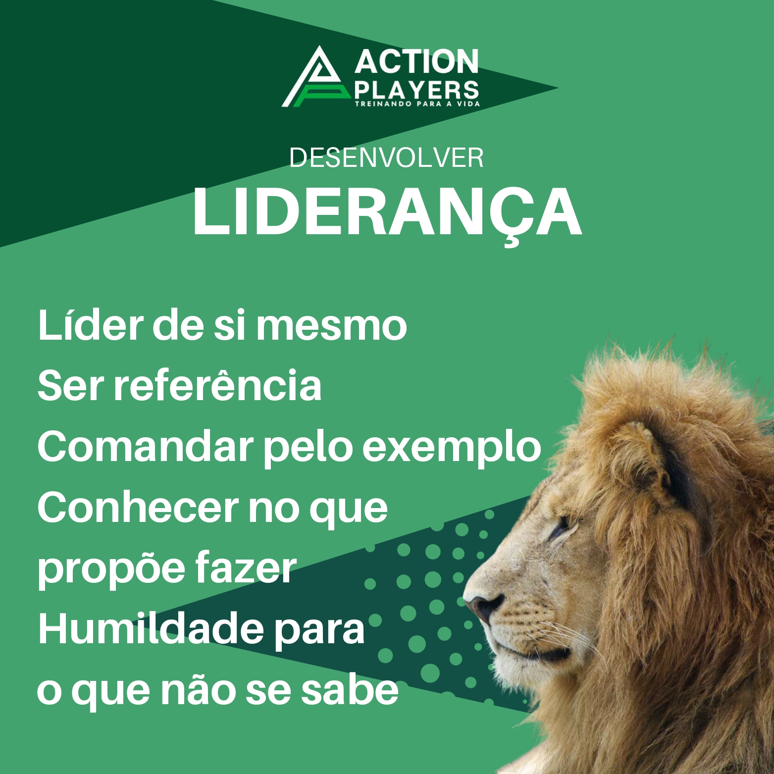 _Action Players - Train The Players_compressed_page-0007